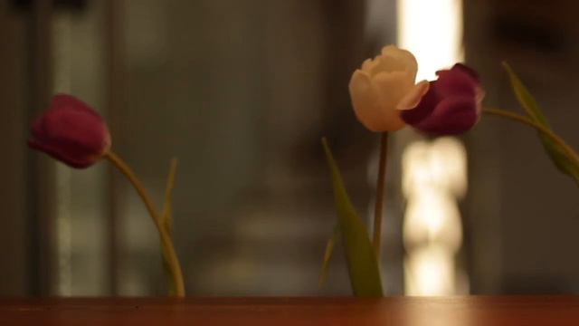 BLUMEN (Remix) смотреть онлайн