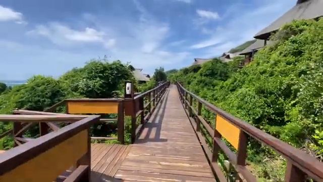 В МИРЕ ЖИВОТНЫХ АФРИКА МОЗАМБИК И ПРОБУЮ НОВОЕ БЛЮДО ANIMALS PARK FUTI MOZAMBIQUE AFRICA #africa