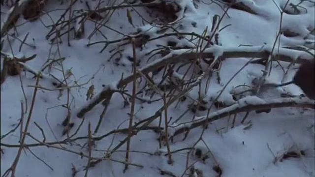 Pion .L - Construire un feu 2 смотреть онлайн