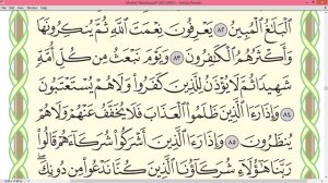 Шейх Айман Сувейд сура Ан Нахль стр 276