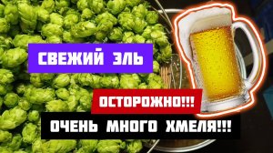 Взрывной рецепт пива.Столько хмеля в пиве я еще не видел.