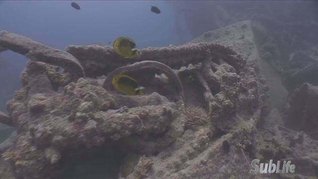 Wreck SS Thistlegorm. march 2014. Погружение на Тистлегорм. смотреть онлайн