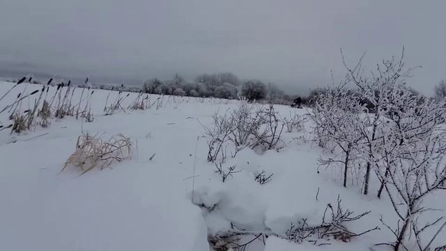 2011 polaris 600 LX rush смотреть онлайн