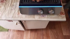 Стейки из свинины на электрогриле.