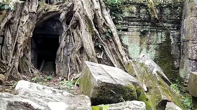 Сиемп Рип, Камбоджи Анкор Ват смотреть онлайн