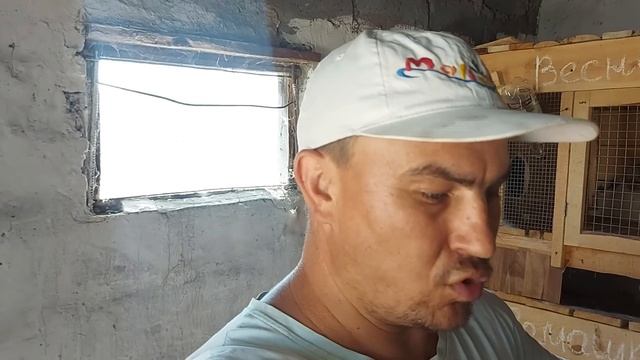 Навели порядок, будем пробовать ещё вывести. Ромашка заболела. смотреть онлайн