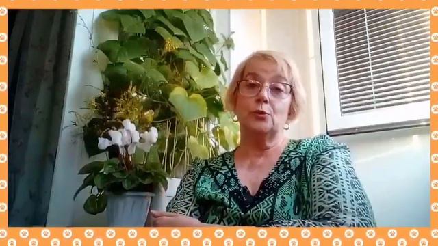 🙏🔥👍ЦИКОРИЙ...лечебная трава.Диабет, и другие...болезни. смотреть онлайн