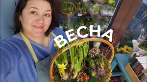 Посадочки из весенних первоцветов на 8 марта