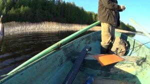 Щука ОТКУСИЛА Slender Pointer 112mr. Ловля щуки 2020. Воблеры на щуку. Рыбалка на щуку на пруду