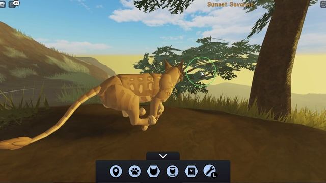 A lion Pride WIP |Roblox|Kaede|Testing| смотреть онлайн