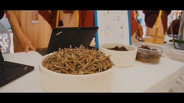 Habib Girls School | INVOTECH Exhibition 2023 with Robotics competition in schools and classrooms смотреть онлайн