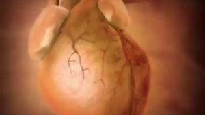 Влияние курения на организм человека. (качество HD)