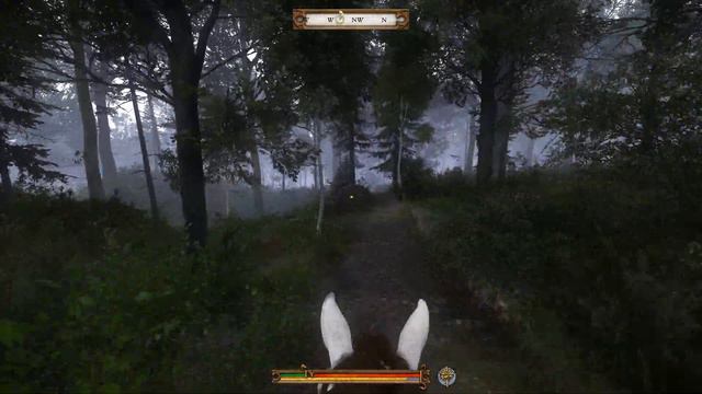 Let's Play Kingdom Come: Deliverance #387 - Sind das Karren zum Transportieren? смотреть онлайн