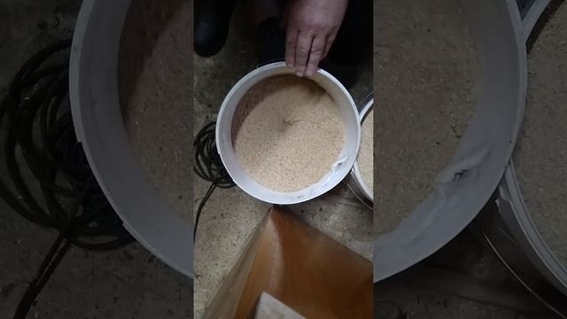 Дробилка для зерна из старой болгарки ,дырявого ведра и нож от триммера.