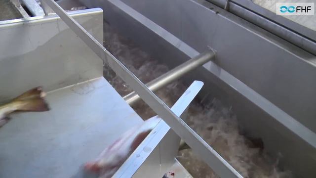 Norway Seafood Båtsfjord смотреть онлайн