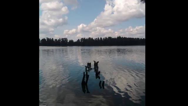 Backing Track - Wayne Krantz - Is Something I Don't Understand Yet смотреть онлайн