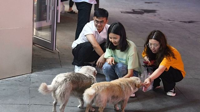 В Китае хотят исключить собак из категории скота и съедобных животных