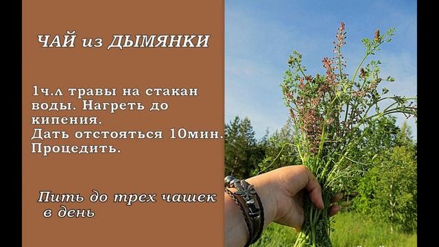 Дымянка лекарственная ( Fumaria officinalis) смотреть онлайн