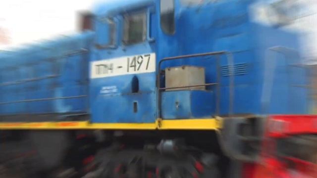 тгм4 3елёный окрас против синего смотреть онлайн