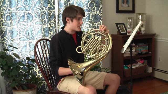 Mozart Horn Concerto No. 3 Mvt 1 смотреть онлайн