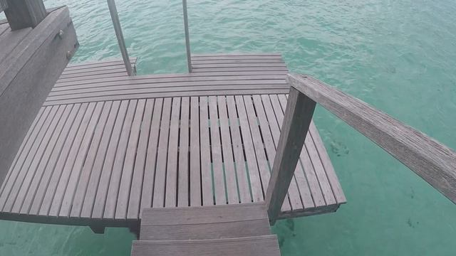 Tahiti - Moorea смотреть онлайн