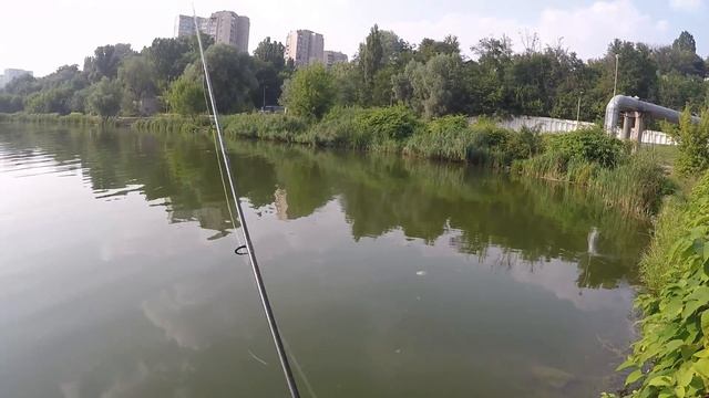 Городская рыбалка / Киев / Совские пруды смотреть онлайн