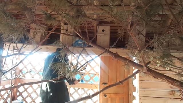 Бельчатник5. Бугульма. Правозащита. смотреть онлайн