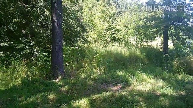 Благодарный Хопёр. Беково. смотреть онлайн