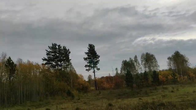 По трассе Р255 на Кемерово. Пейзаж меняется, местность все больше становится гористой. смотреть онлайн