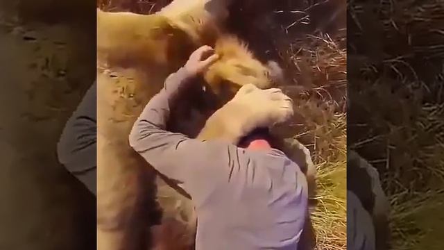 Обнимашки! смотреть онлайн