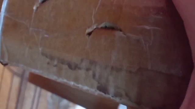 Вырастила грибы на подоконнике смотреть онлайн