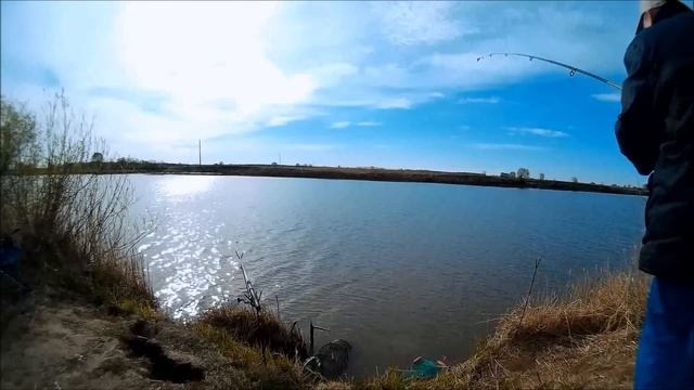 Рыбалка Меша Кирби жадные поклевки гибрида(карася) смотреть онлайн