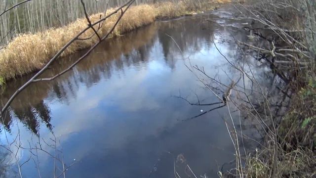 И всё-таки он попался!!! Крупный хариус малой реки! смотреть онлайн