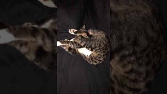 Трюкач смотреть онлайн