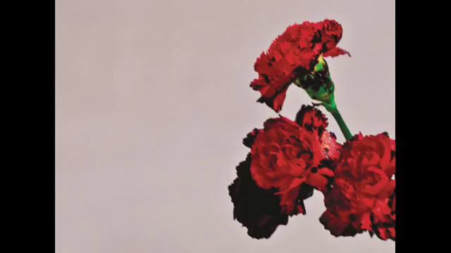 John Legend - For the First Time смотреть онлайн