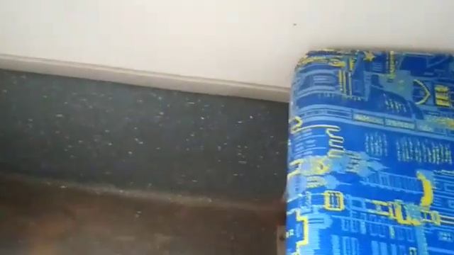 Новый сух паёк для водителей автобусов ГУП МОСГОРТРАНС маршрута КМ смотреть онлайн