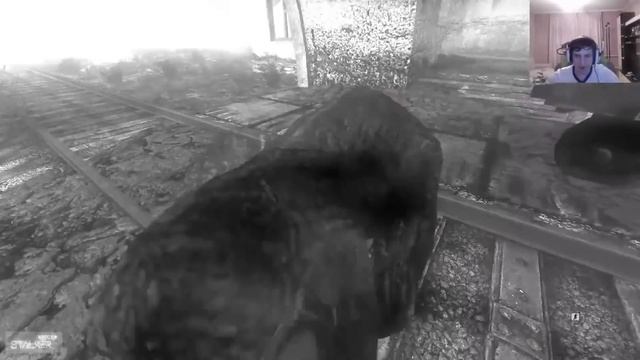 Wycc 2018 (лучшие моменты за год)