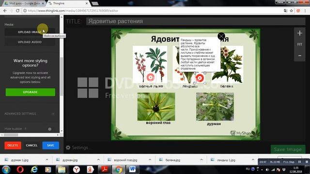 Создание интерактивных плакатов с помощью веб сервиса ThingLink смотреть онлайн