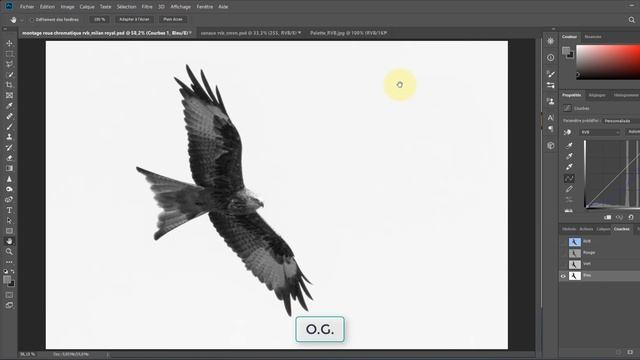 Photoshop - Gestion RVB RGB des couleurs - Partie 01 смотреть онлайн