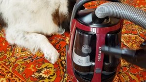 Пылесос SAMSUNG SC885F. Мощный пылесос Самсунг. Обзор пылесоса Samsung. Распаковка