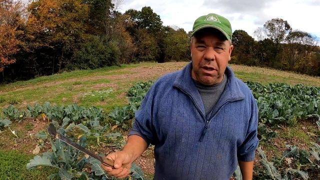 Our 7th generation’s first day on the job смотреть онлайн