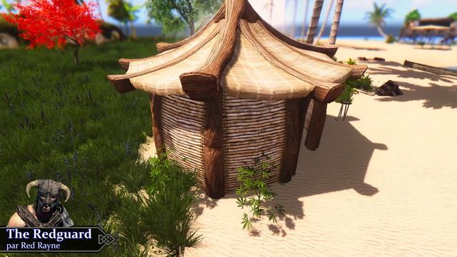 LE MEILLEUR BATON DE MAGE - SKYRIM MODS DE LA SEMAINE #105 смотреть онлайн