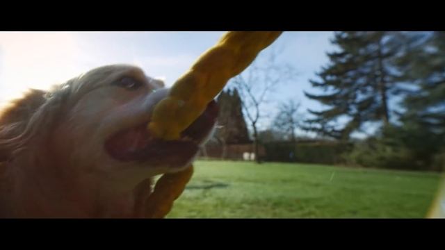 Pedigree - DogsHands 15s RUS OLV смотреть онлайн