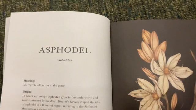 floriography by Jessica Roux в коллекции книг смотреть онлайн