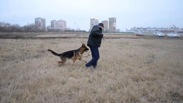 Ацель Хоф Яско