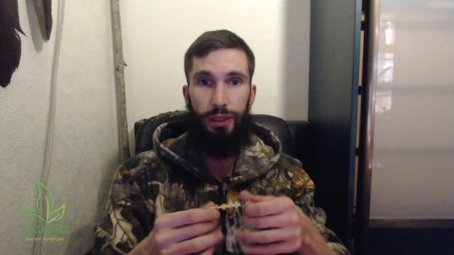 Оберег (браслет "Травник"). Что это? Как работают? смотреть онлайн