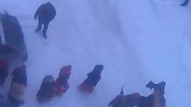 масленица в воронеже смотреть онлайн