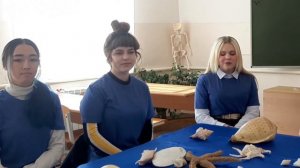 Приморье заповедное