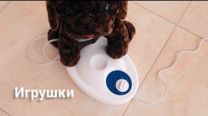 Озонатор - почему он должен быть в каждой семье? Как использовать дома?