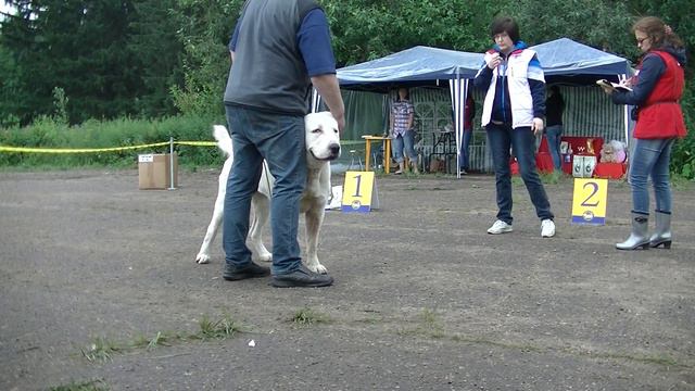 Моно САО 28 июня 2015 Сергиев Посад 13 смотреть онлайн